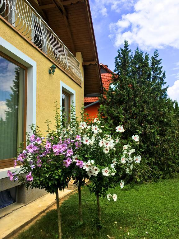 Petra Apartmanhaz Badacsonytomaj Exterior foto